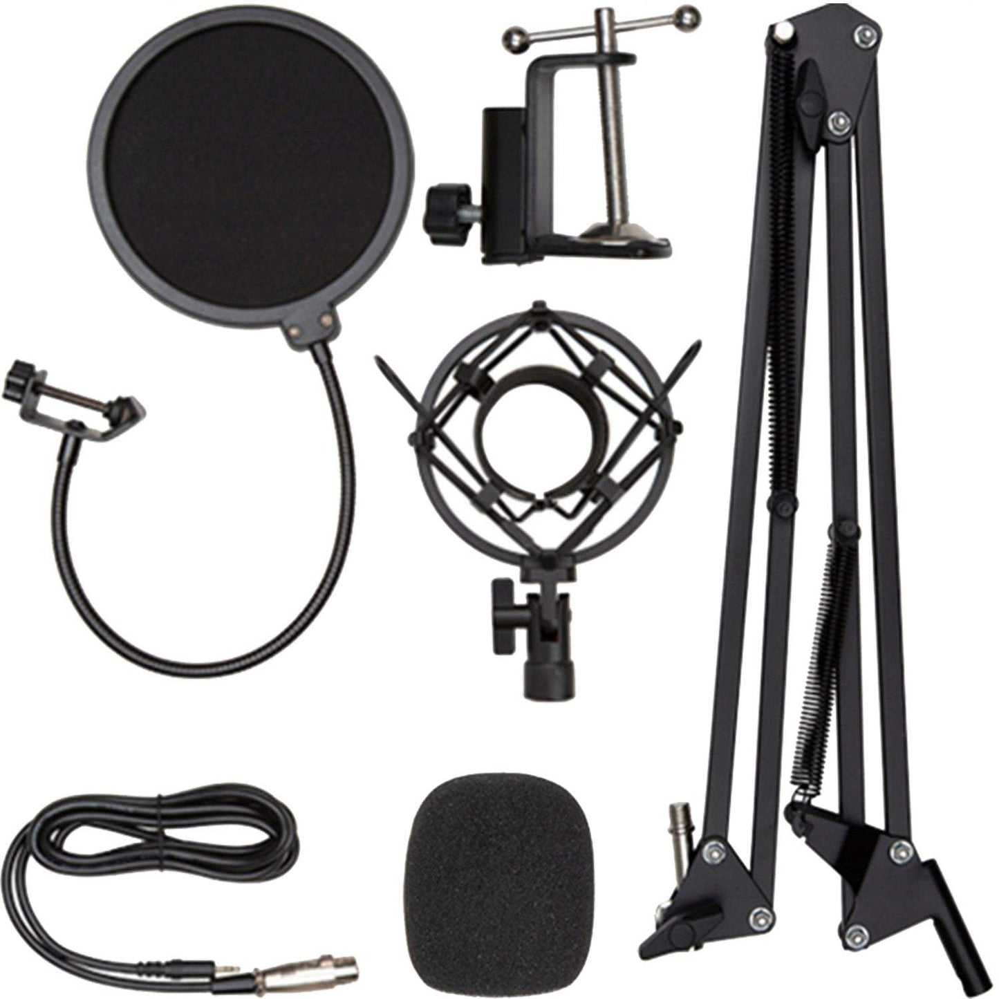 Mikrofons ar pop filtru un USB kabeli