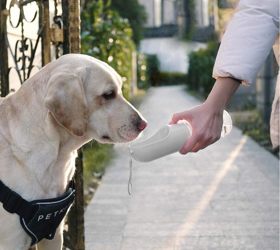 Ūdens pudele suņiem 350 ml