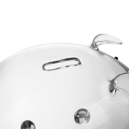 Stikla cūciņa krājkase