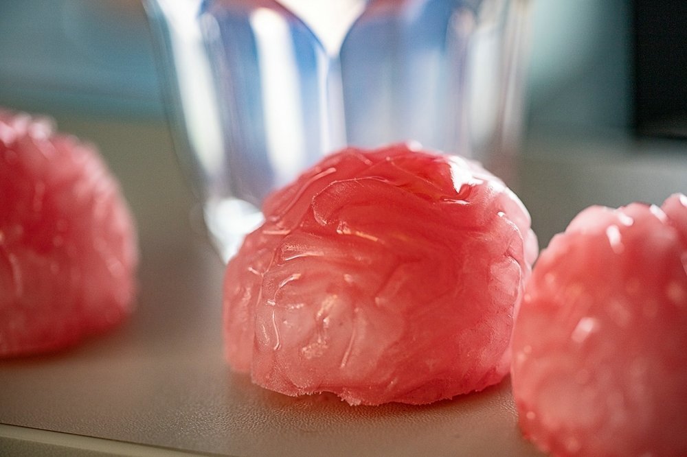 Ledus saldēšanas forma - smadzenes