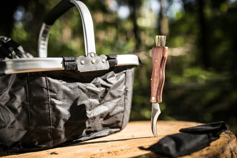 Sēņošanas komplekts