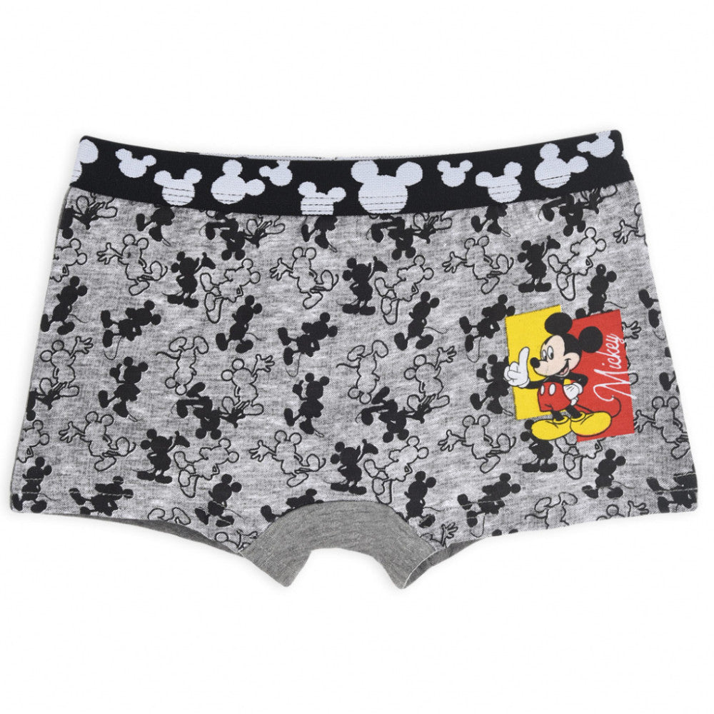 Disney Mickey bērnu bokseršorti 2 gab./iepakojumā 4/5 gadi