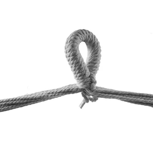 Griestu šūpoles pelekas