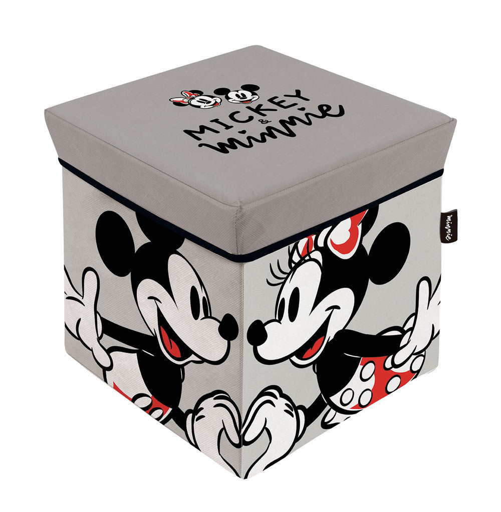 Disney Minnie, Mikija rotaļlietu uzglabāšanas kaste 30√ó30√ó30 cm