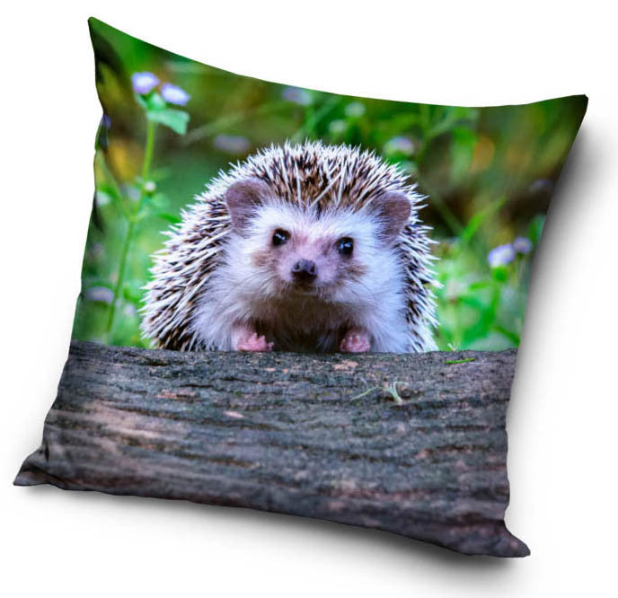Ezīša spilvendrāna 40*40 cm