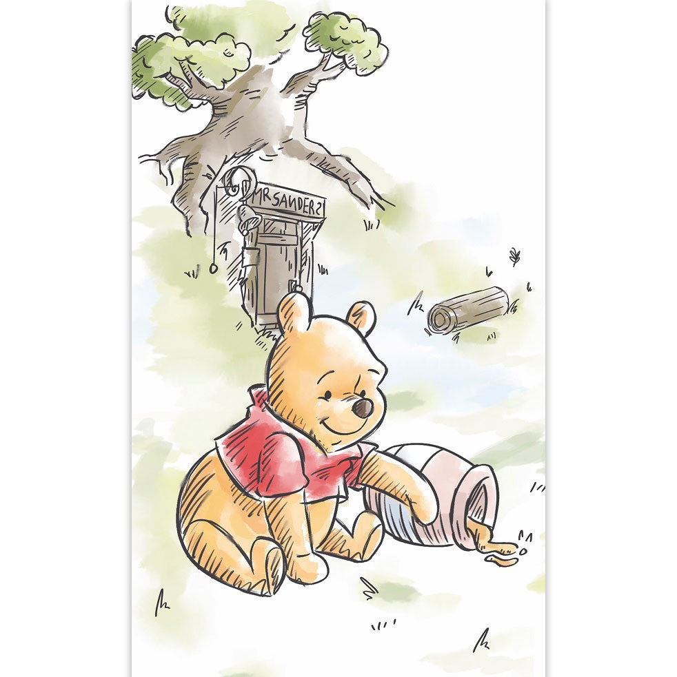 Disney Vinnija Pūka roku dvielis, sejas dvielis, 30x50cm