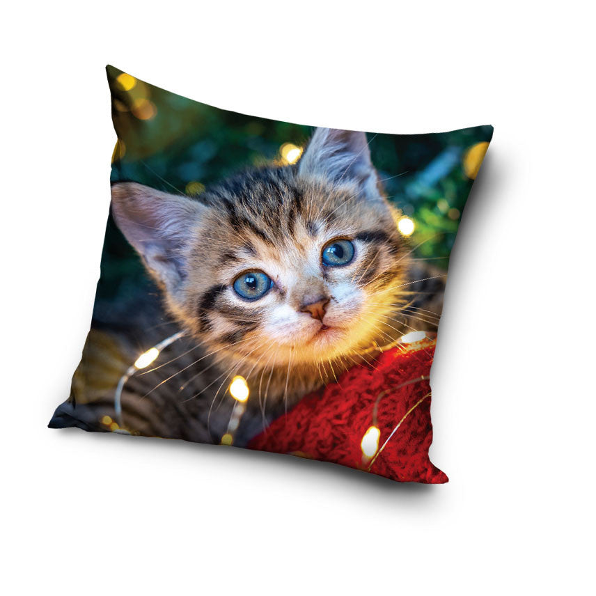 Dekoratīvais spilvena pārvalks "Cat Cozy Lights" 40x40 cm, samts