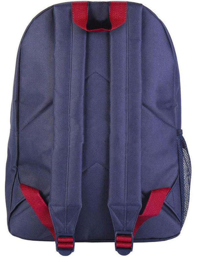 Atriebēju skolas soma, soma 41 cm