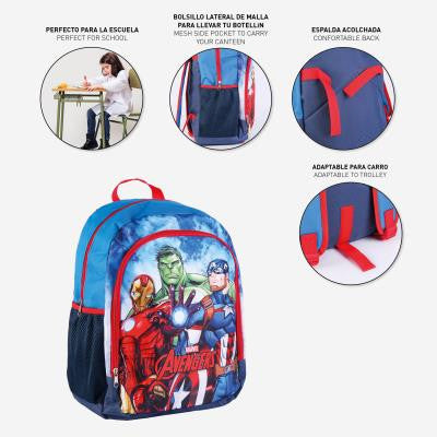 Atriebēju skolas soma, soma 41 cm