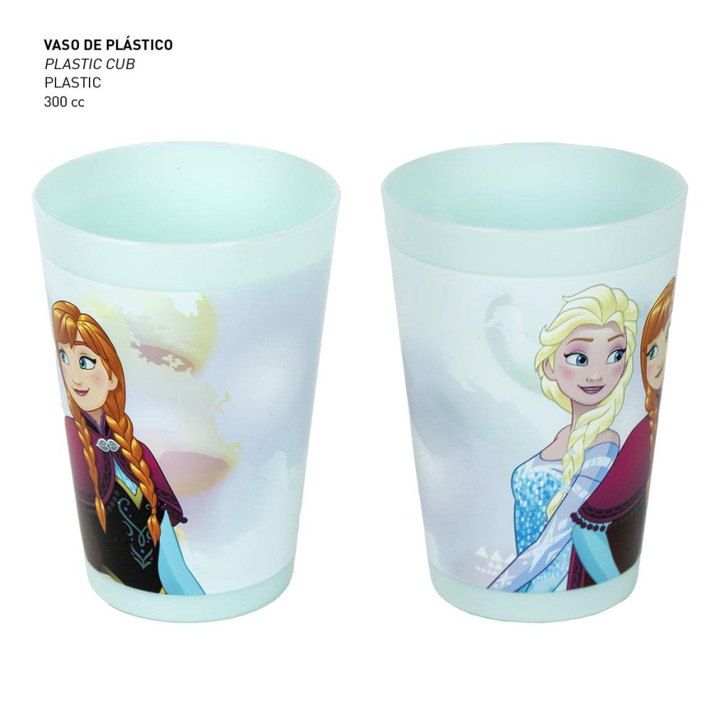 Disney Frozen Sisters higiēnas komplekts