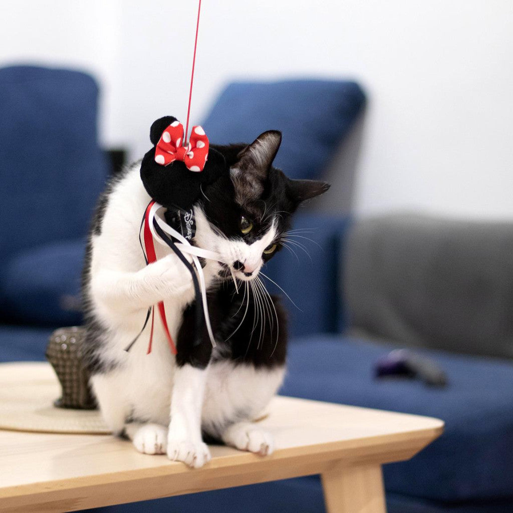 Disney Minnie melna kaķa rotaļu makšķere