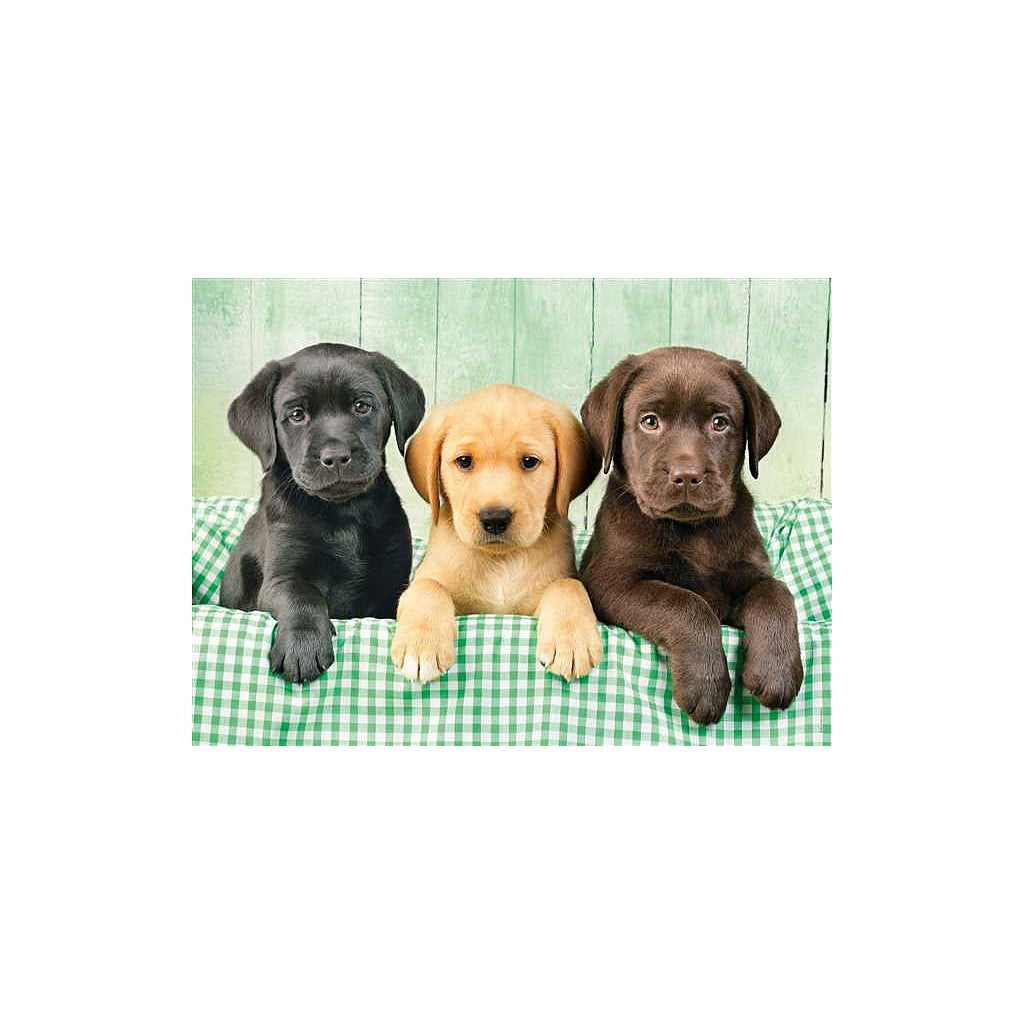 Kuty√°s Labrador 1000 db-os puzle Clementoni