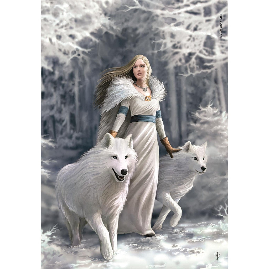 Fantāzijas ziemas sargi Anne Stokes 1000 detaļu kompaktā puzle Clementoni