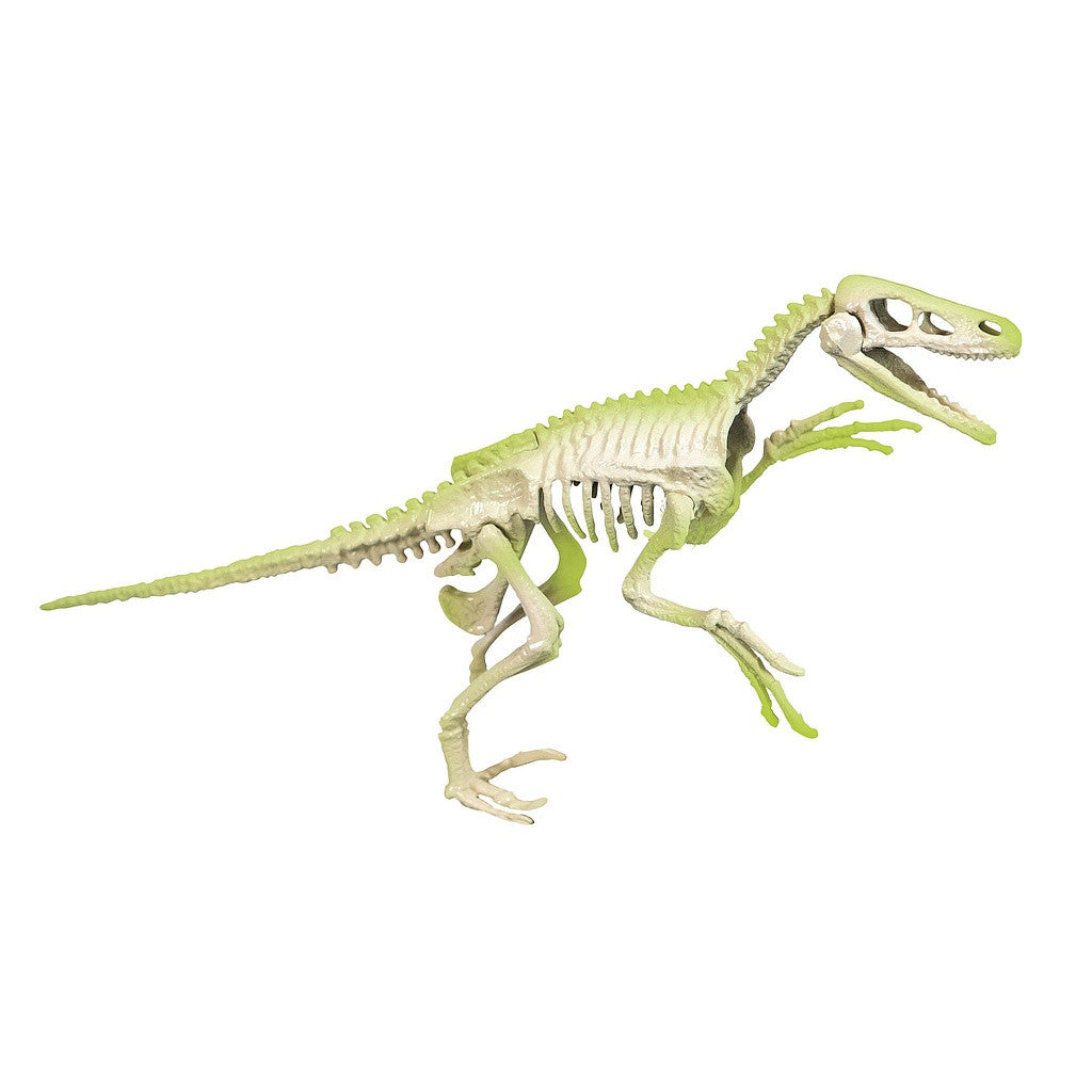 Dinozauru arheo jautrs kvēlojošs Velociraptor arheoloģiskais komplekts Clementoni