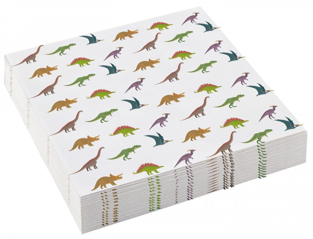Salvešu komplekts "Dinozaurs Happy", 20 gab., 25x25 cm