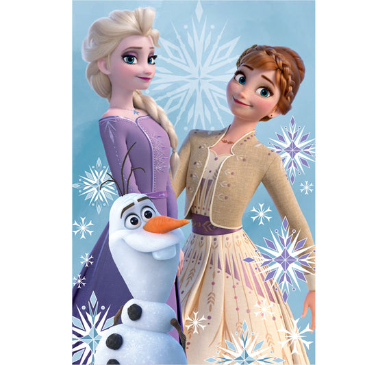 Disney Frozen Olafs un māsas flīsa sega 100x150cm