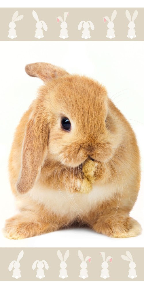 Rabbit Brown vannas dvielis, pludmales dvielis 70x140cm
