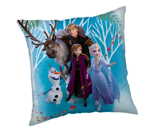 Disney Frozen ģimenes spilvens, dekoratīvs spilvens 40x40 cm