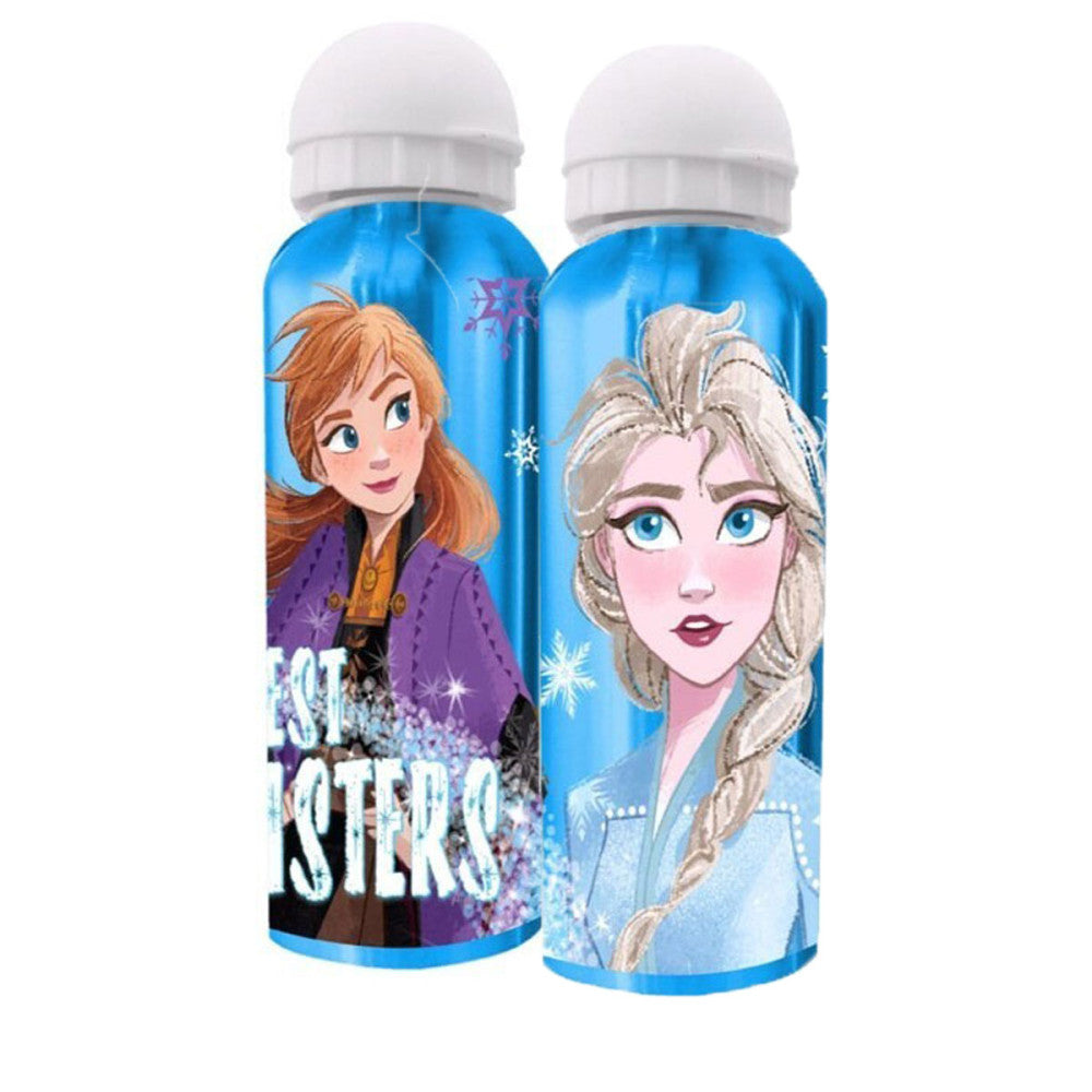 Disney Frozen Sisters alumīnija ūdens pudele 500 ml