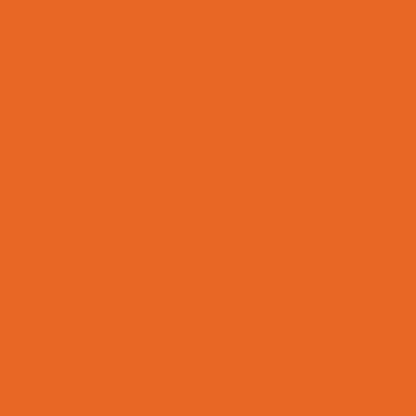 Colour Maki Orange salvešu komplekts, 20 gab., 33x33 cm