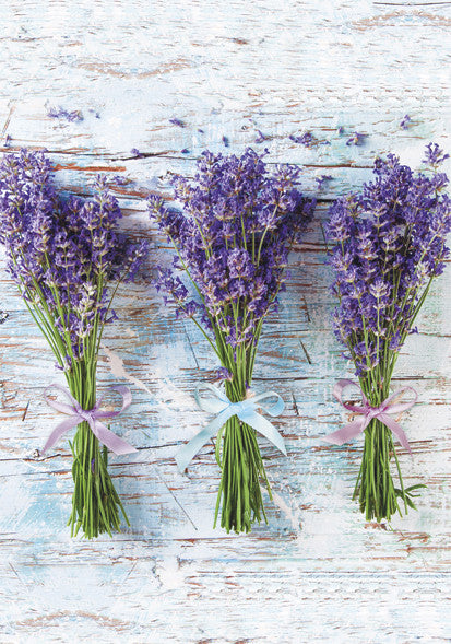 Krāsu pušķis, lavanda, A/4, elastīga mape