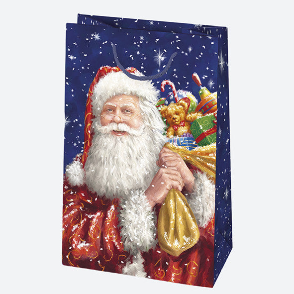 Ziemassvētku Ziemas pasaule papīra dāvanu maisiņš 16x24x7 cm