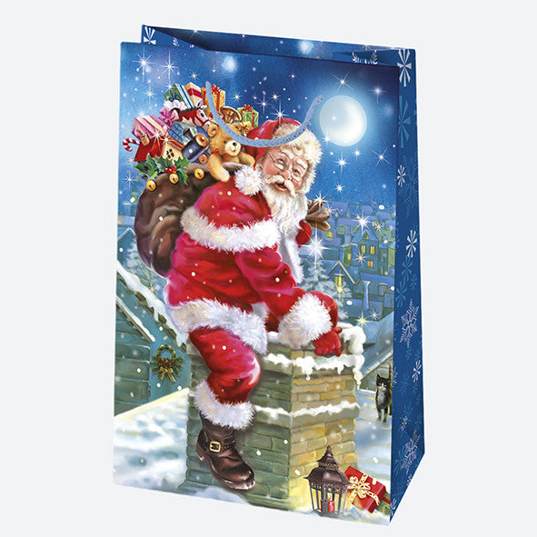 Ziemassvētku Ziemas pasaule papīra dāvanu maisiņš 16x24x7 cm