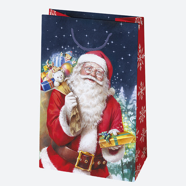 Ziemassvētku Ziemas pasaule papīra dāvanu maisiņš 16x24x7 cm