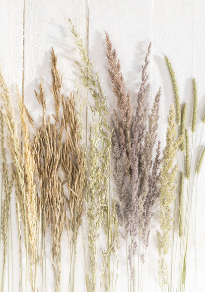 Mape Butterfly Golden Harvest Nature A/4 elastīga