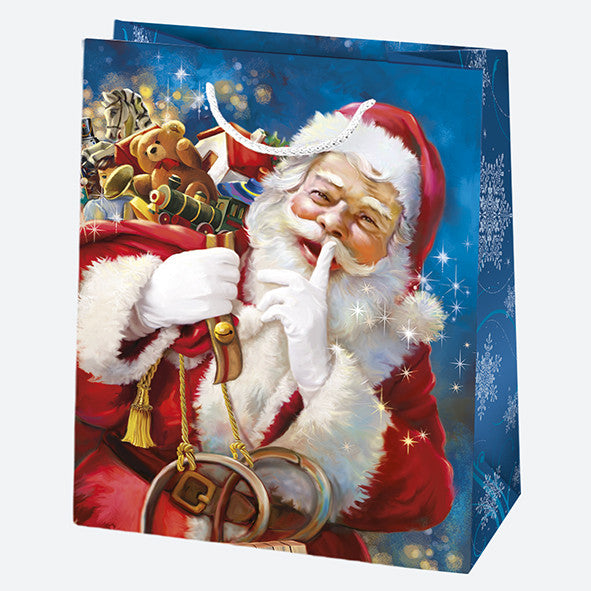 Ziemassvētku Toyland papīra dāvanu maisiņš 19x23x10,5 cm