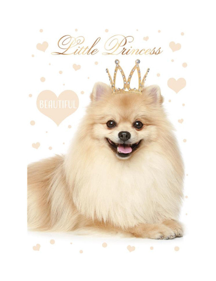 Suņu mazā princese A4 elastīga mape