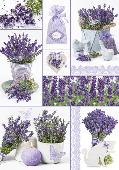 Mape "Colour Moments Lavender" A4 formātā ar elastīgo kārtu
