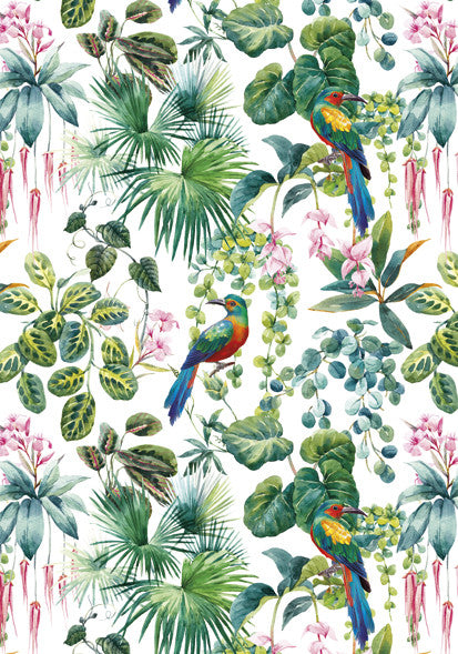 Krāsainā Papagailis Nature A/4 elastīgā mape
