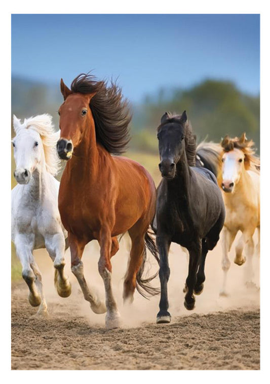 Mape "Horses Freedom" A4 formātā ar elastīgu birku