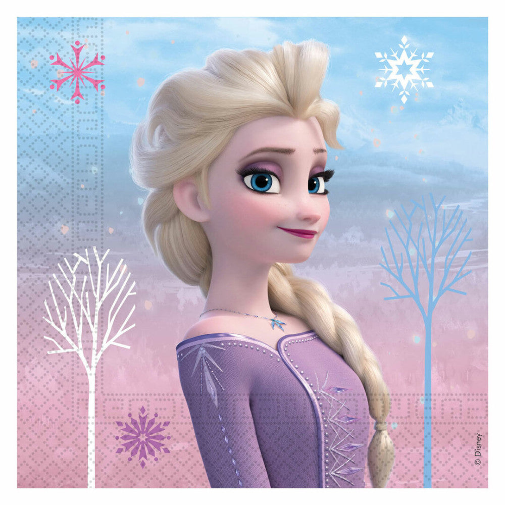 Disney Frozen Wind salvetes 20 gab. 33x33 cm FSC