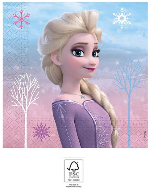 Disney Frozen Wind salvetes 20 gab. 33x33 cm FSC
