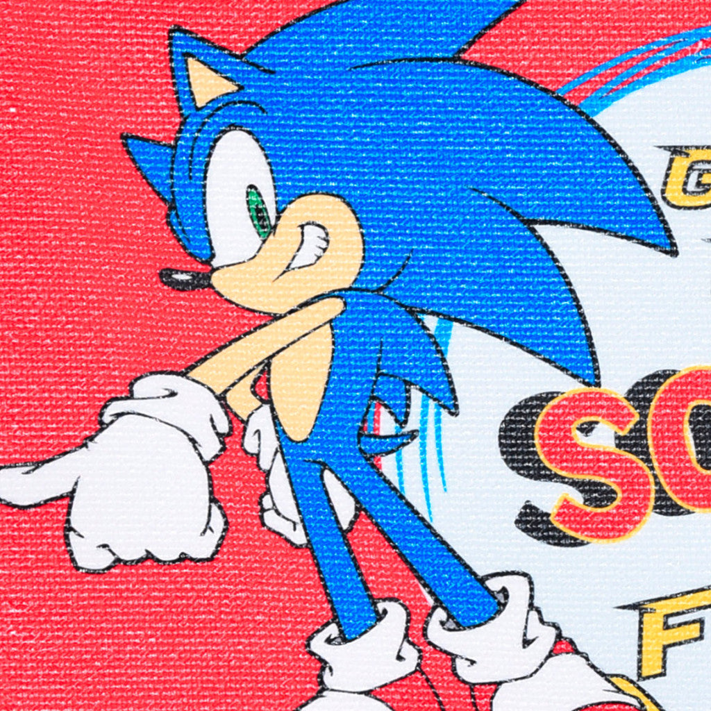 Sonic the Hedgehog Gotta Go dvielis, sejas dvielis, dvielis 40x30 cm