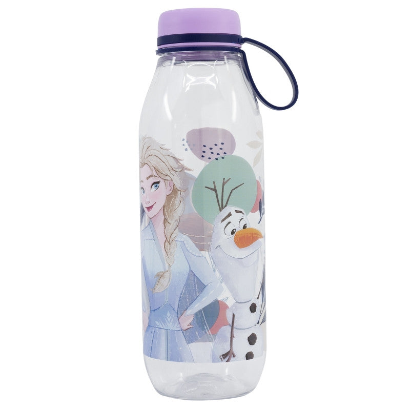 Disney Frozen Adventure Ecozen ūdens pudele, sporta pudele 650 ml